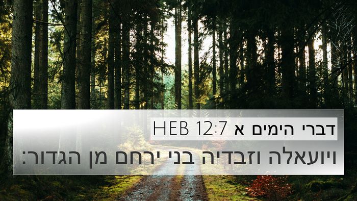דברי הימים א 12:7 HEB 4K Wallpaper - ויועאלה וזבדיה בני ירחם מן - 4K Wallpaper Bible Verse