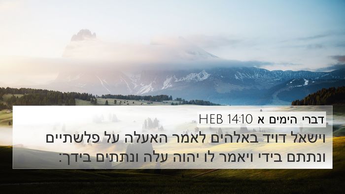 דברי הימים א 14:10 HEB Bible Verse Image