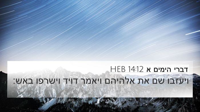 דברי הימים א 14:12 HEB Bible Verse Image