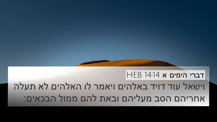 דברי הימים א 14:14 HEB Bible Verse Image