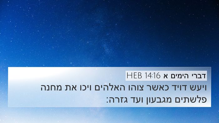 דברי הימים א 14:16 HEB Bible Verse Image