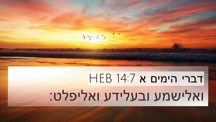 דברי הימים א 14:7 HEB Bible Verse Image