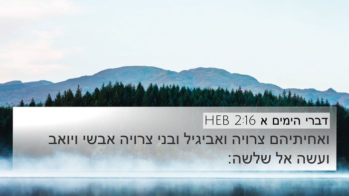 דברי הימים א 2:16 HEB Bible Verse Image