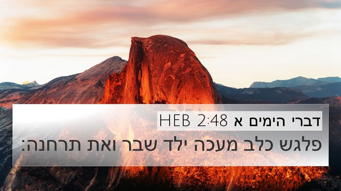 דברי הימים א 2:48 HEB 4K Wallpaper - פלגש כלב מעכה ילד שבר ואת - 4K Wallpaper Bible Verse
