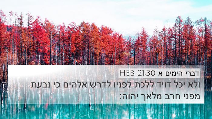 דברי הימים א 21:30 HEB Bible Verse Image