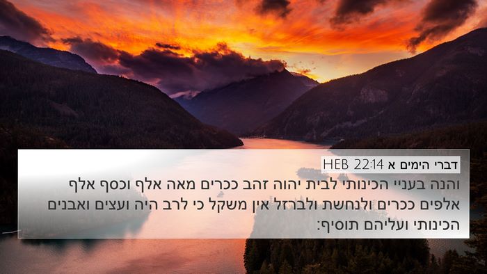 דברי הימים א 22:14 HEB Bible Verse Image