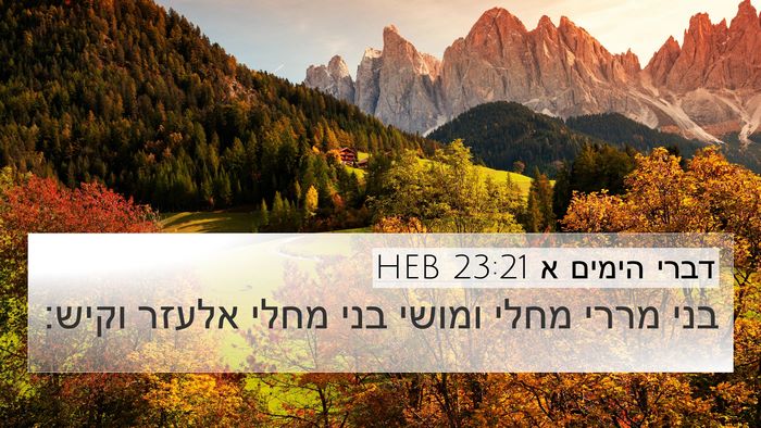 דברי הימים א 23:21 HEB Bible Verse Image