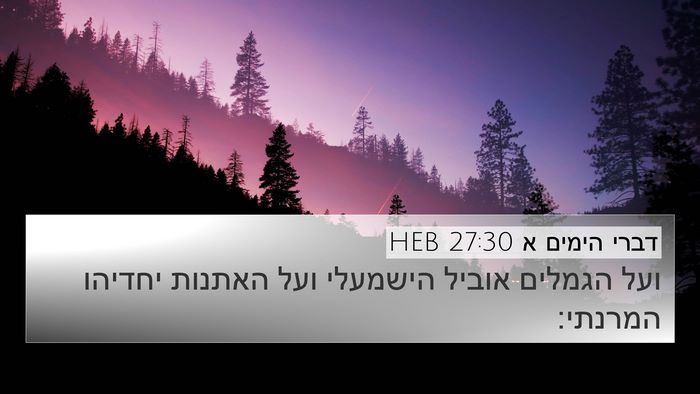 דברי הימים א 27:30 HEB 4K Wallpaper - ועל הגמלים אוביל הישמעלי - 4K Wallpaper Bible Verse
