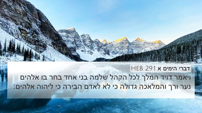 דברי הימים א 29:1 HEB Bible Verse Image