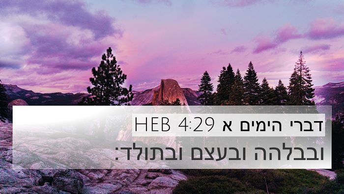 דברי הימים א 4:29 HEB Bible Verse Image