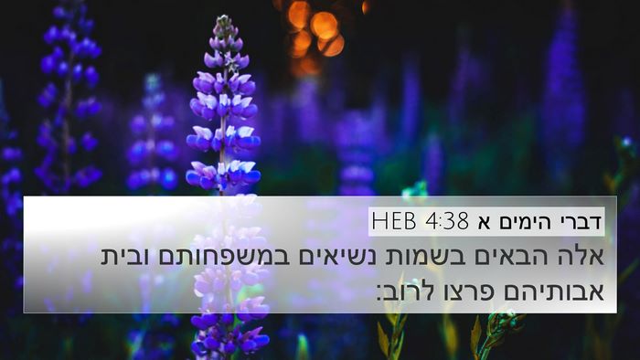 דברי הימים א 4:38 HEB Bible Verse Image