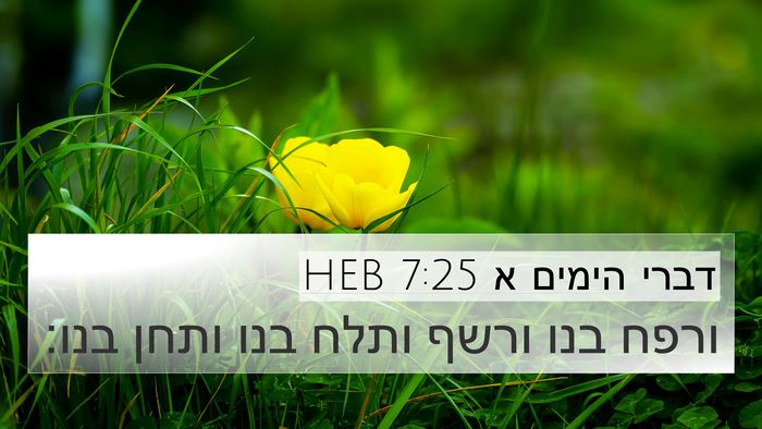 דברי הימים א 7:25 HEB 4K Wallpaper - ורפח בנו ורשף ותלח בנו ותחן - 4K Wallpaper Bible Verse