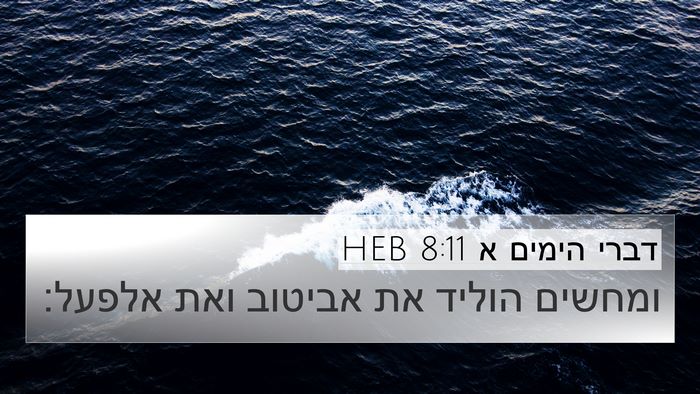 דברי הימים א 8:11 HEB 4K Wallpaper - ומחשים הוליד את אביטוב ואת - 4K Wallpaper Bible Verse