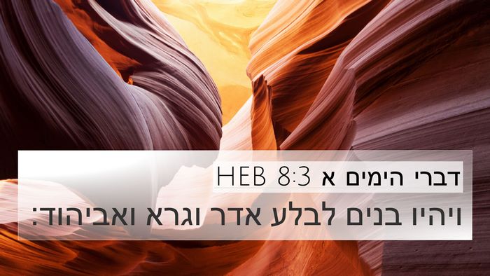 דברי הימים א 8:3 HEB Bible Verse Image