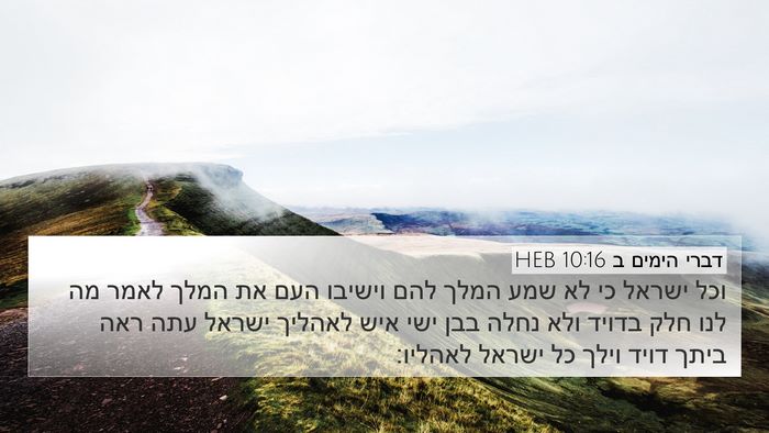 דברי הימים ב 10:16 HEB Bible Verse Image