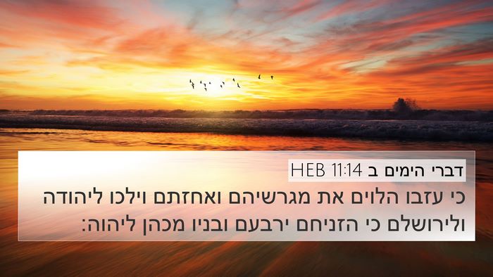 דברי הימים ב 11:14 HEB Bible Verse Image