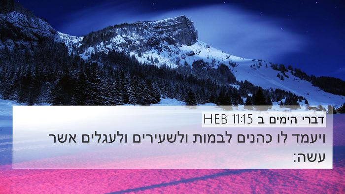 דברי הימים ב 11:15 HEB Bible Verse Image