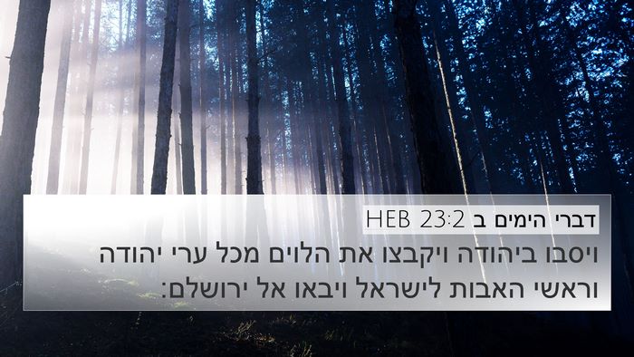 דברי הימים ב 23:2 HEB Bible Verse Image
