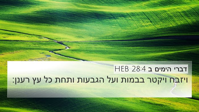 דברי הימים ב 28:4 HEB Bible Verse Image
