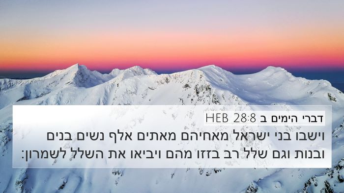 דברי הימים ב 28:8 HEB Bible Verse Image