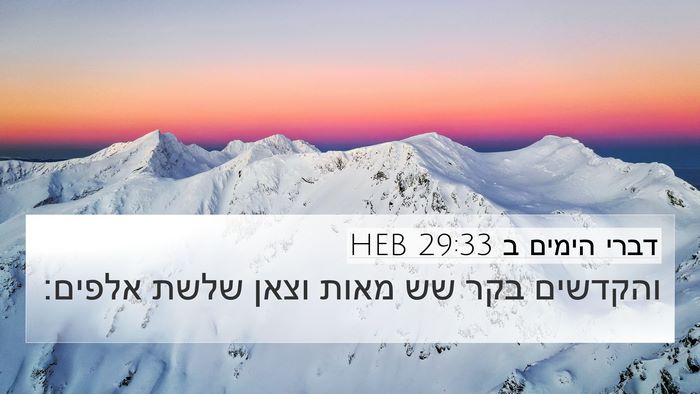 דברי הימים ב 29:33 HEB 4K Wallpaper - והקדשים בקר שש מאות וצאן - 4K Wallpaper Bible Verse