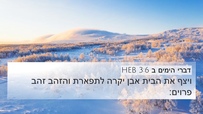 דברי הימים ב 3:6 HEB 4K Wallpaper - ויצף את הבית אבן יקרה - 4K Wallpaper Bible Verse