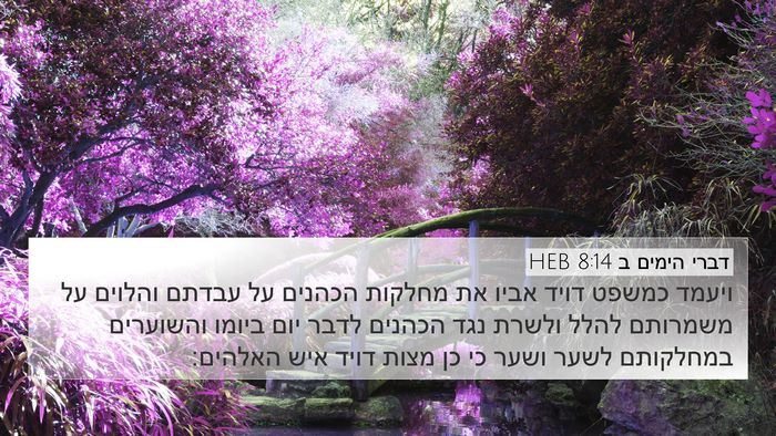 דברי הימים ב 8:14 HEB Bible Verse Image