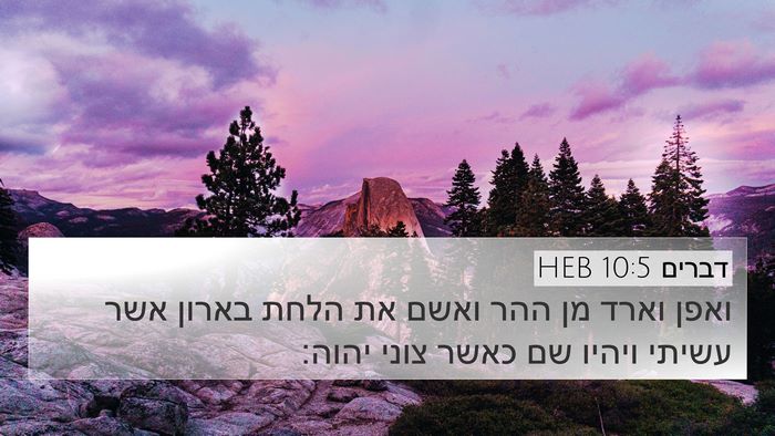 דברים 10:5 HEB Bible Verse Image