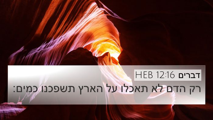 דברים 12:16 HEB Bible Verse Image