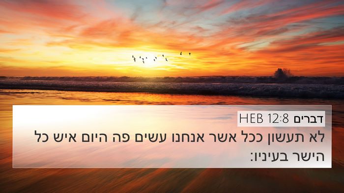 דברים 12:8 HEB Bible Verse Image