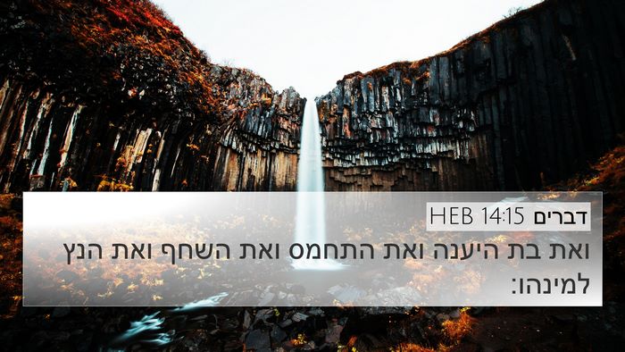 דברים 14:15 HEB 4K Wallpaper - ואת בת היענה ואת התחמס ואת - 4K Wallpaper Bible Verse