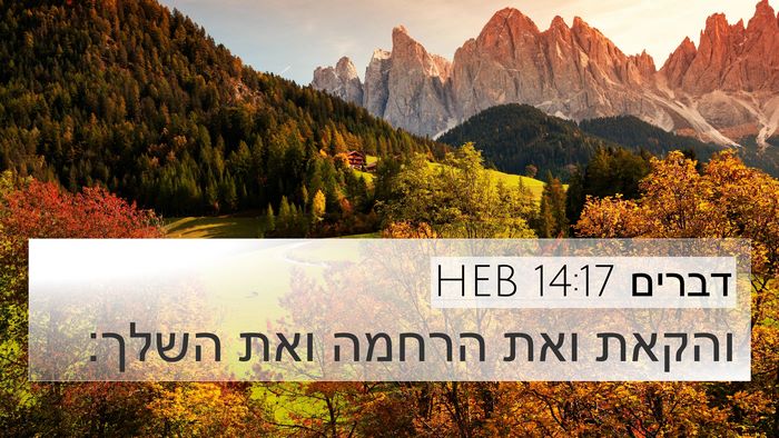 דברים 14:17 HEB 4K Wallpaper - והקאת ואת הרחמה ואת - 4K Wallpaper Bible Verse