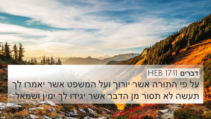 דברים 17:11 HEB 4K Wallpaper - על פי התורה אשר יורוך ועל - 4K Wallpaper Bible Verse
