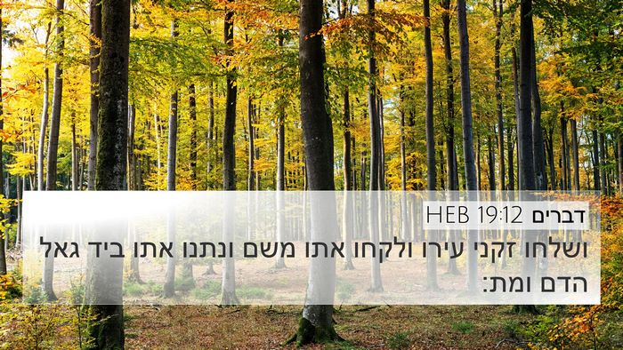דברים 19:12 HEB Bible Verse Image