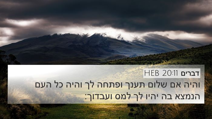 דברים 20:11 HEB Bible Verse Image