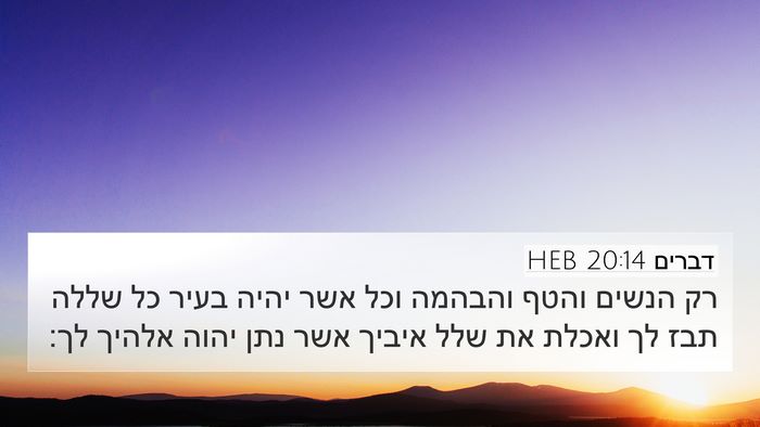 דברים 20:14 HEB Bible Verse Image