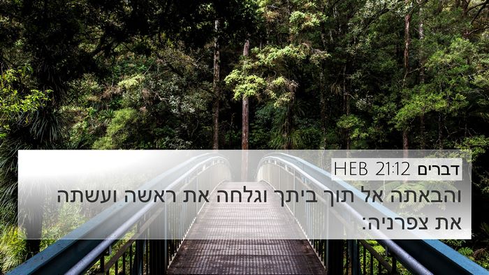 דברים 21:12 HEB Bible Verse Image