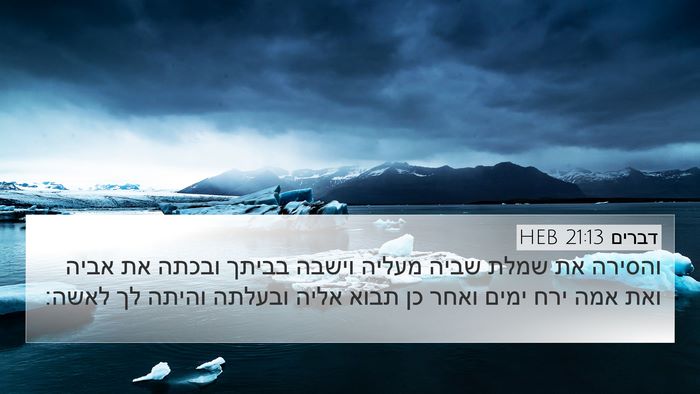 דברים 21:13 HEB Bible Verse Image