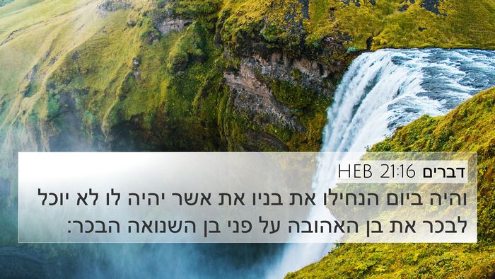 דברים 21:16 HEB Bible Verse Image
