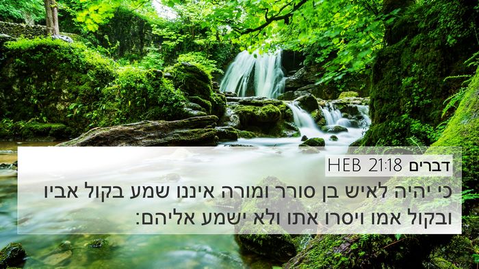 דברים 21:18 HEB Bible Verse Image