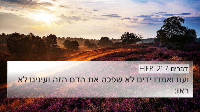 דברים 21:7 HEB 4K Wallpaper - וענו ואמרו ידינו לא שפכה את - 4K Wallpaper Bible Verse