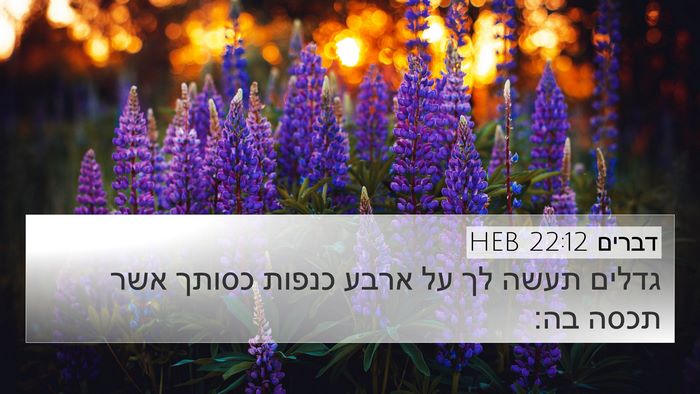 דברים 22:12 HEB Bible Verse Image