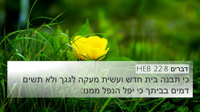 דברים 22:8 HEB Bible Verse Image