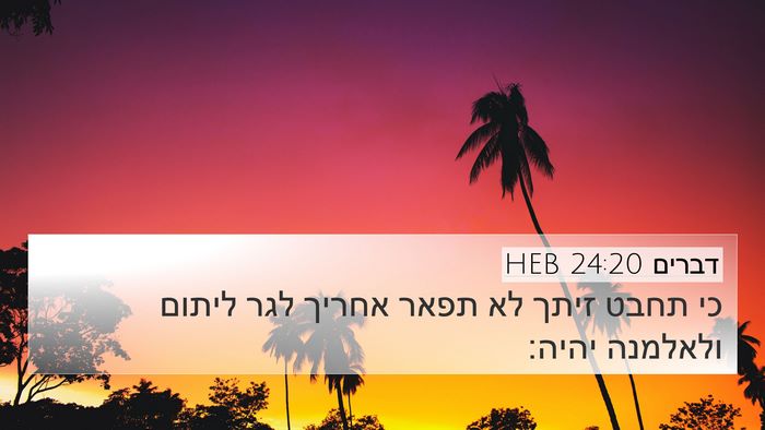 דברים 24:20 HEB 4K Wallpaper - כי תחבט זיתך לא תפאר אחריך - 4K Wallpaper Bible Verse