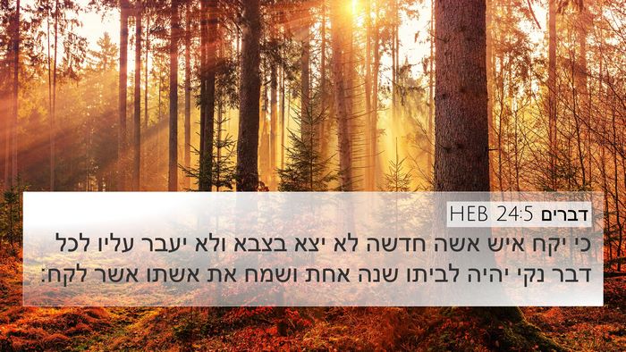 דברים 24:5 HEB Bible Verse Image