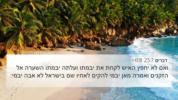 דברים 25:7 HEB Bible Verse Image