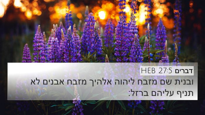 דברים 27:5 HEB Bible Verse Image
