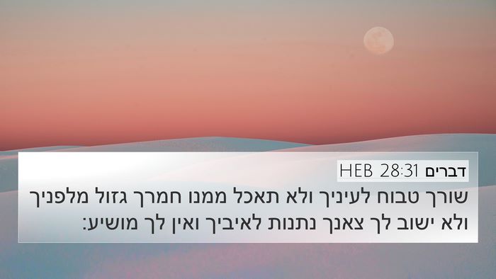 דברים 28:31 HEB Bible Verse Image