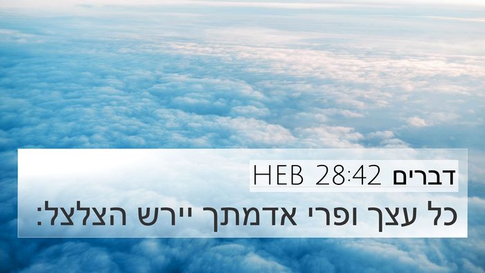 דברים 28:42 HEB Bible Verse Image