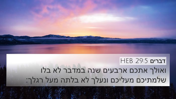 דברים 29:5 HEB Bible Verse Image